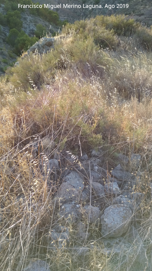 Castillo de Nebl�n - Castillo de Nebl�n. 