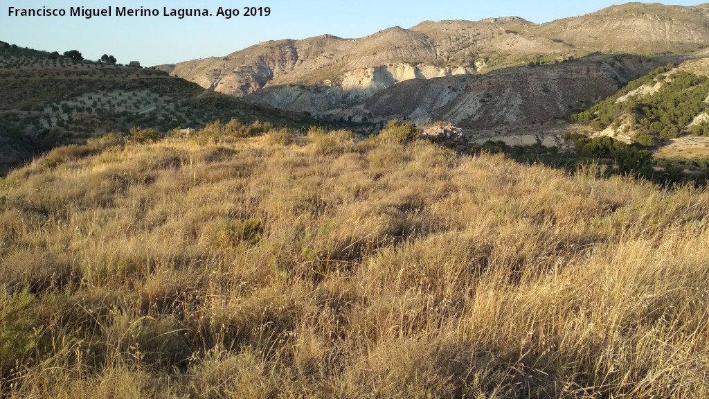 Castillo de Nebl�n - Castillo de Nebl�n. Plaza de armas