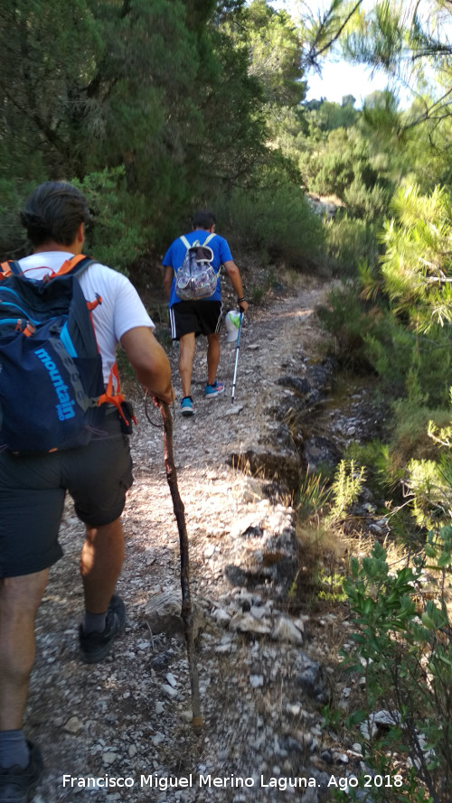 Ca�ada del Sabinar - Ca�ada del Sabinar. 