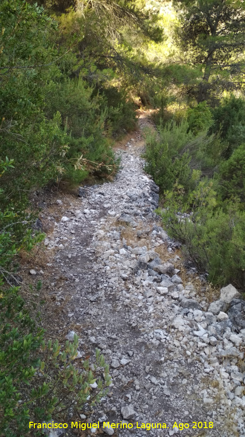 Ca�ada del Sabinar - Ca�ada del Sabinar. 