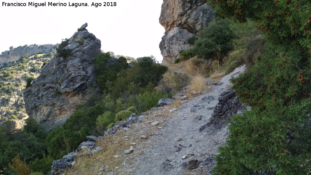 Ca�ada del Sabinar - Ca�ada del Sabinar. 