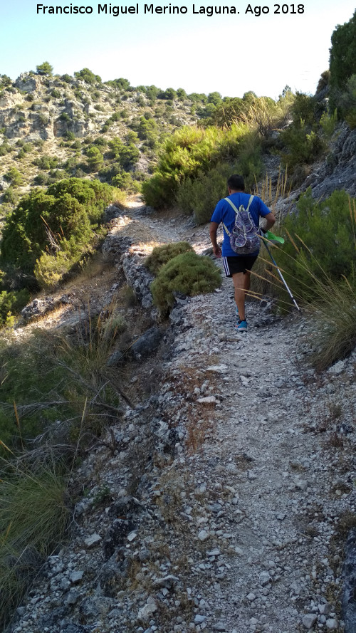 Ca�ada del Sabinar - Ca�ada del Sabinar. 