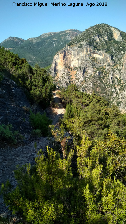 Ca�ada del Sabinar - Ca�ada del Sabinar. 