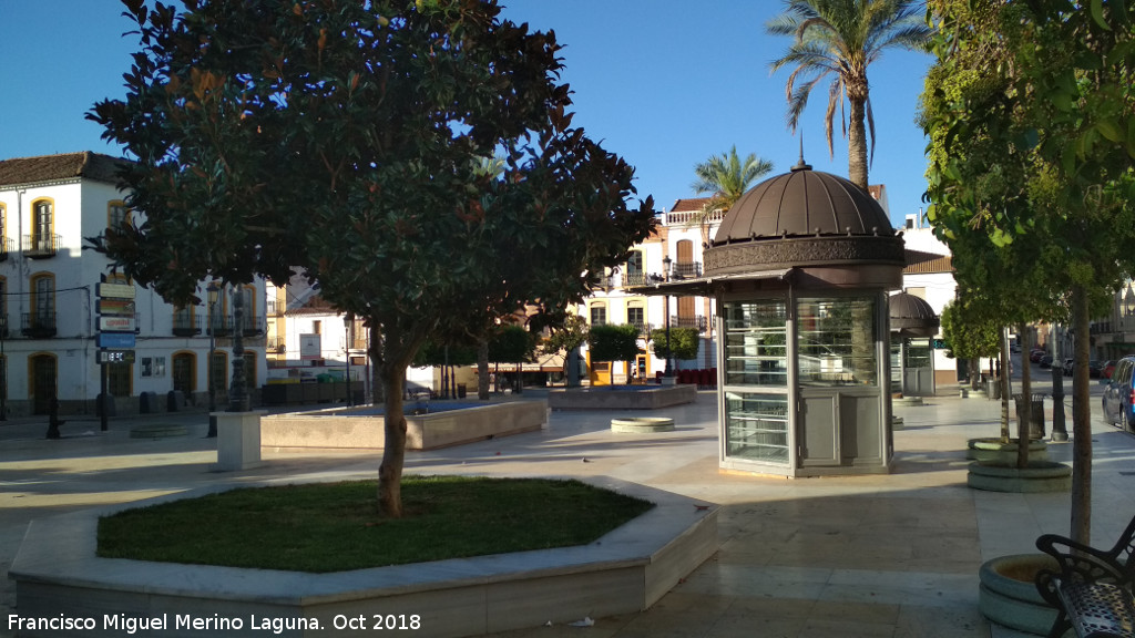 Plaza del Ayuntamiento - Plaza del Ayuntamiento. 