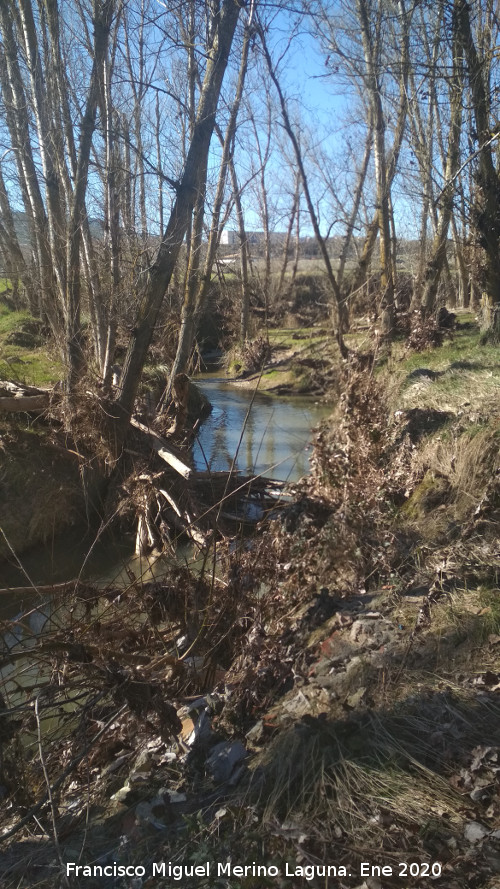 R�o Palancares - R�o Palancares. 