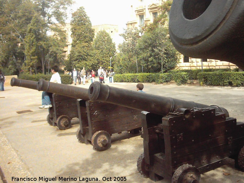 Alhambra. Palacio de Carlos V - Alhambra. Palacio de Carlos V. Ca�ones al lado del palacio