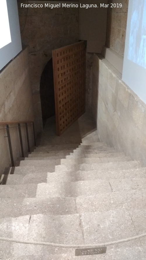 Alhambra. Palacio de Carlos V - Alhambra. Palacio de Carlos V. S�tano