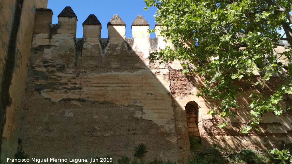 Alhambra. Torre del Cad� - Alhambra. Torre del Cad�. Desag�e y almenas de su lienzo derecho