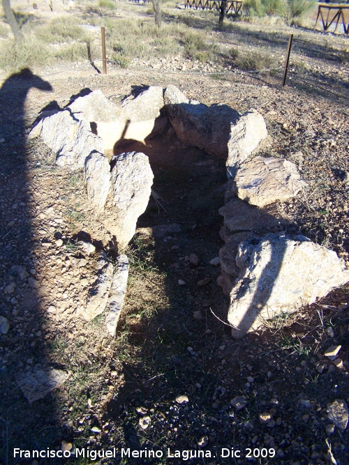 Dolmen 113 - Dolmen 113. 