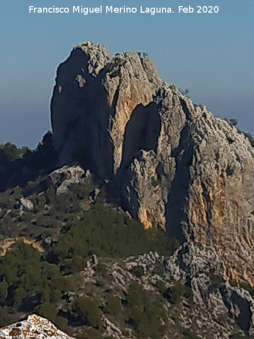 Castillo de las Pe�as de Castro - Castillo de las Pe�as de Castro. Desde la cumbre sur de las Pe�as de Castro