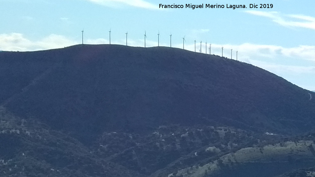 Parque elico Sierra del Trigo - Parque elico Sierra del Trigo. Desde las Lomas de Carboneros
