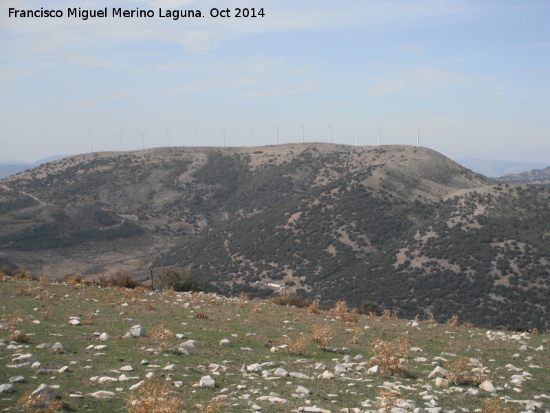 Parque e�lico Sierra del Trigo - Parque e�lico Sierra del Trigo. 