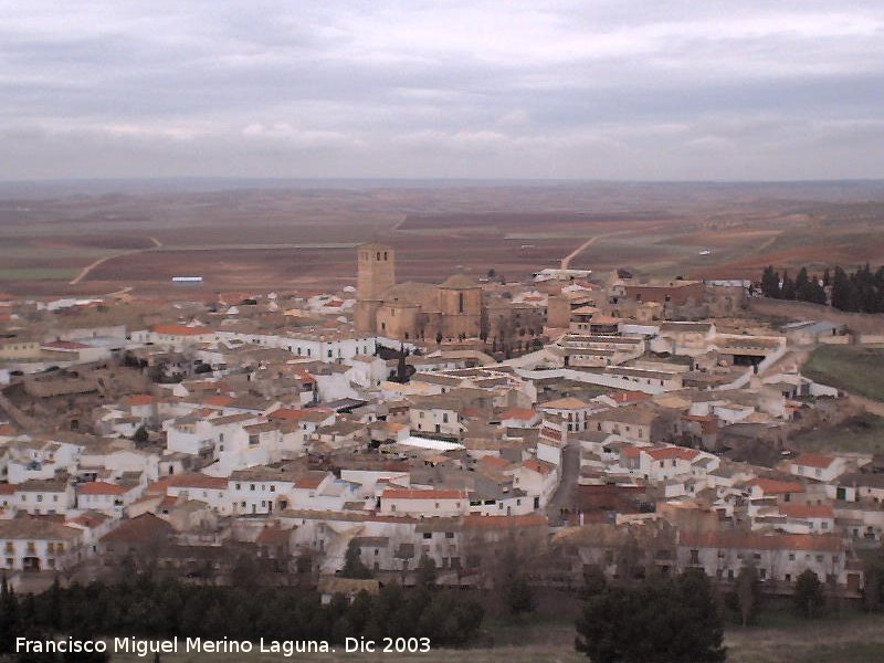 Colegiata de San Bartolom� - Colegiata de San Bartolom�. Desde el Castillo
