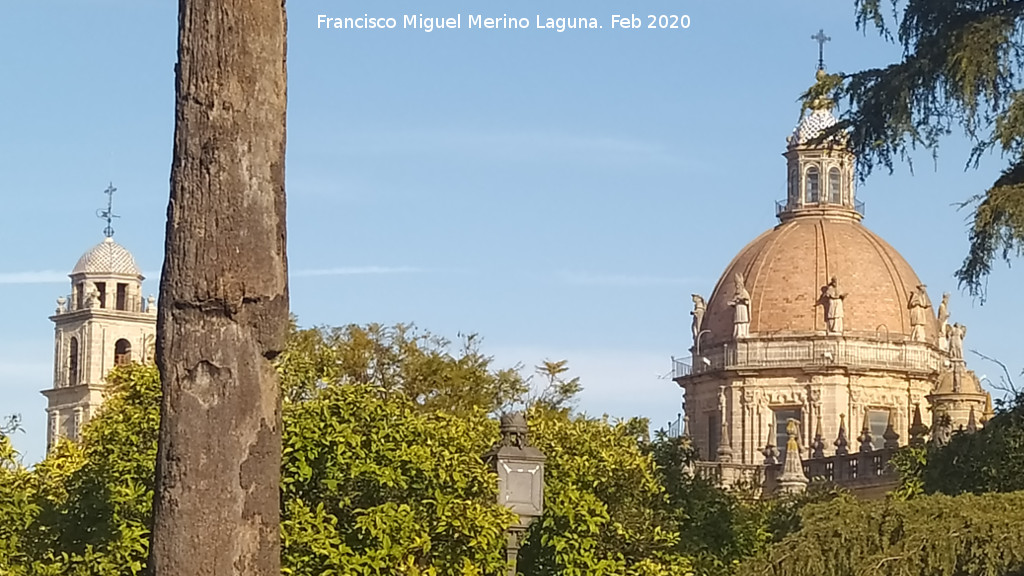 Catedral del Salvador - Catedral del Salvador. 