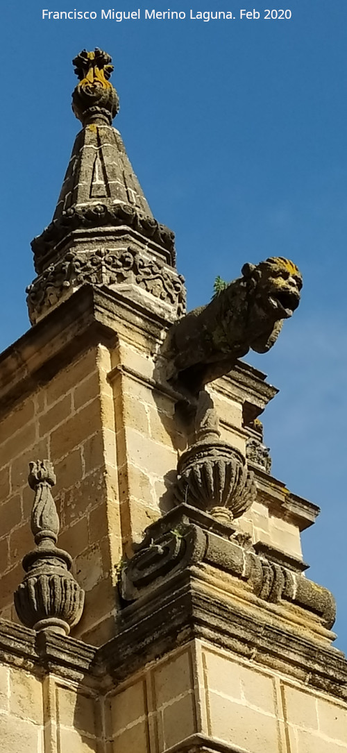 Catedral del Salvador - Catedral del Salvador. G�rgola