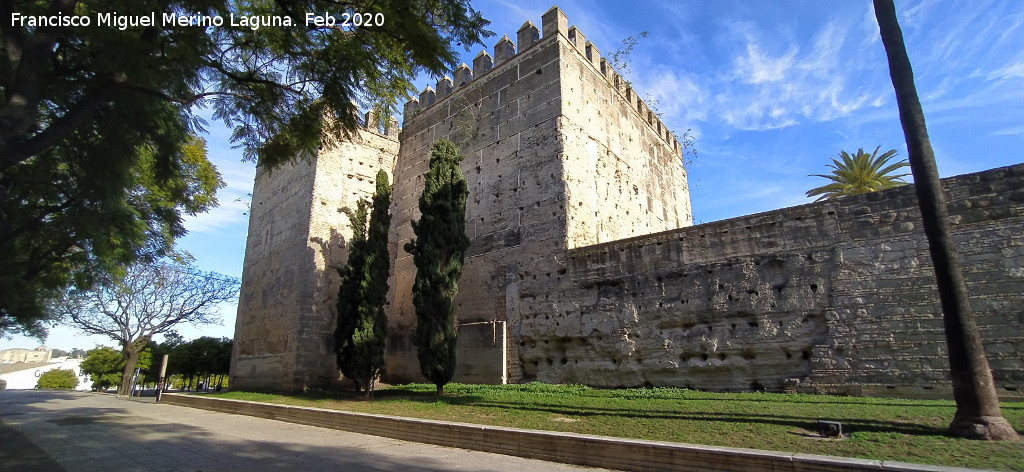 Alc�zar de Jerez - Alc�zar de Jerez. Torre del Homenaje