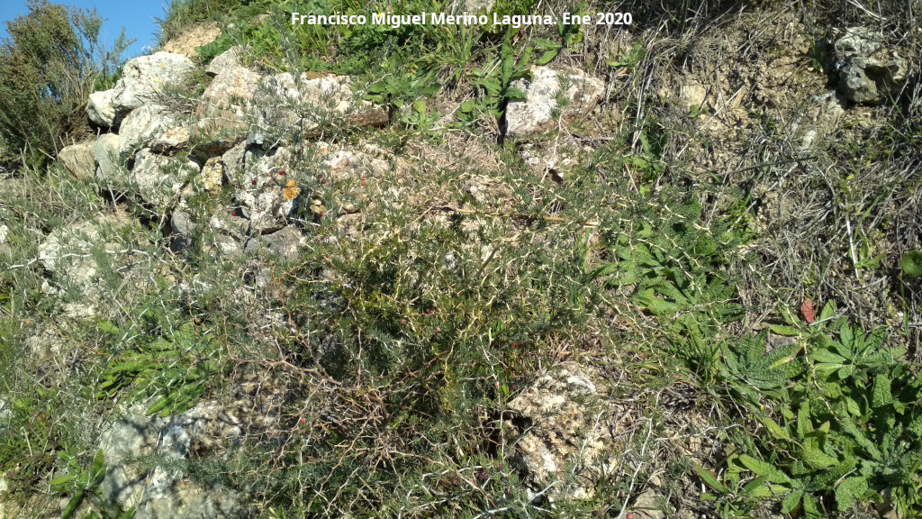 Torre�n del Moro - Torre�n del Moro. Muralla