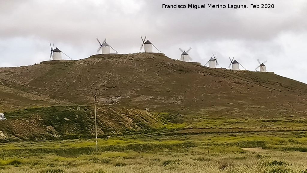 Molinos de Consuegra - Molinos de Consuegra. 