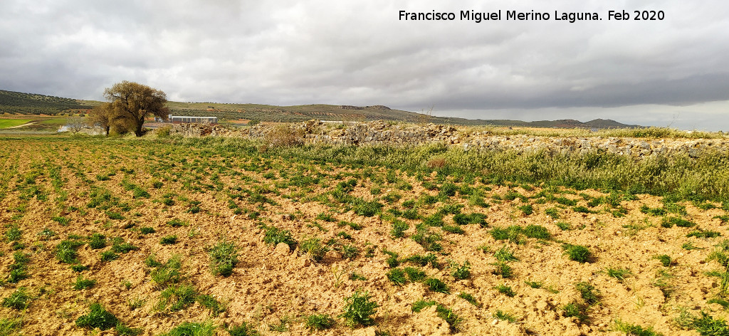 Presa de Consuegra - Presa de Consuegra. 