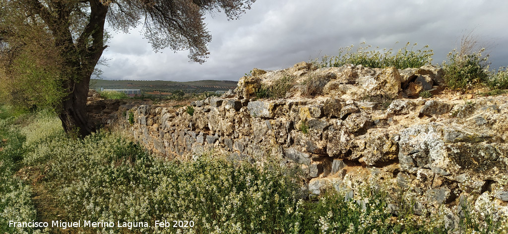 Presa de Consuegra - Presa de Consuegra. 