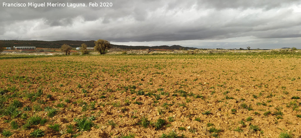 Presa de Consuegra - Presa de Consuegra. 