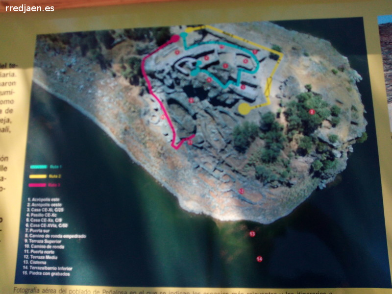 Pe�alosa - Pe�alosa. 