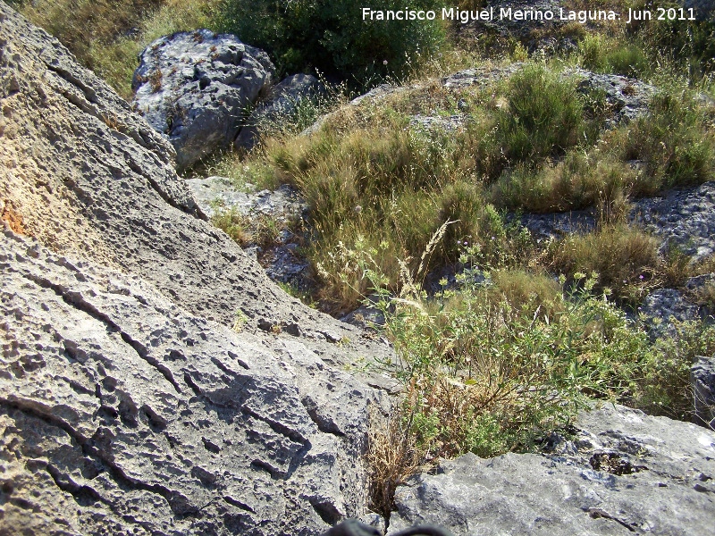 Pinturas rupestres de la Pe�a del Gorri�n VII - Pinturas rupestres de la Pe�a del Gorri�n VII. Altura