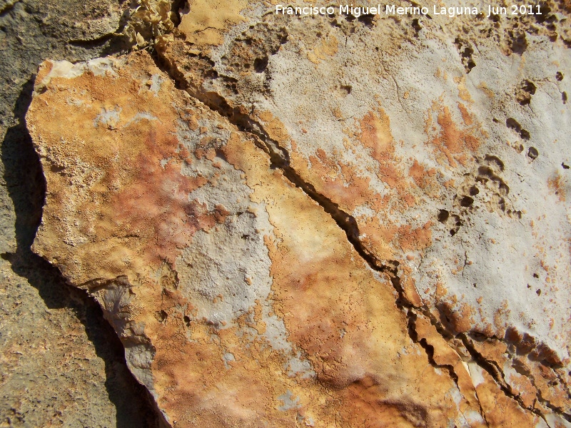 Pinturas rupestres de la Pe�a del Gorri�n VII - Pinturas rupestres de la Pe�a del Gorri�n VII. Manchas superiores