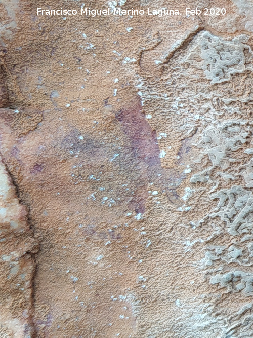 Pinturas rupestres de la Pe�a del Gorri�n IIb - Pinturas rupestres de la Pe�a del Gorri�n IIb. Cruciforme