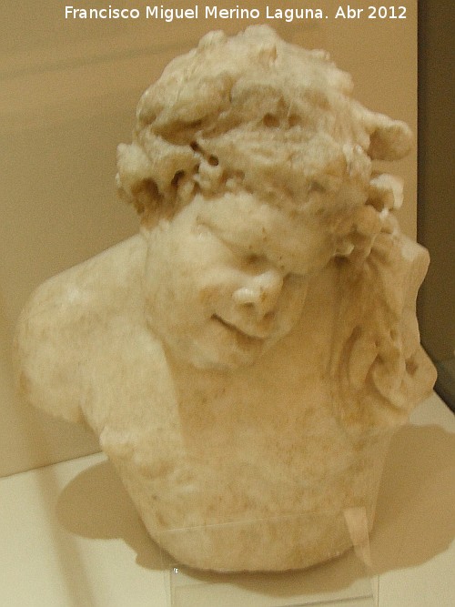 Villa romana de la Estacin - Villa romana de la Estacin. Museo Municipal