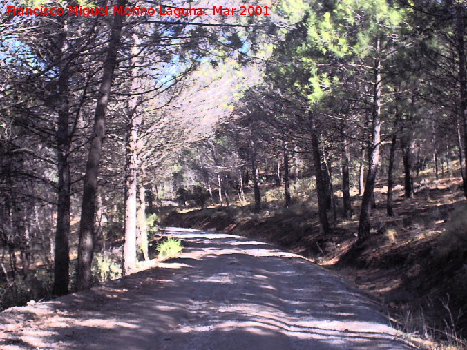 Sierra de Campillo - Sierra de Campillo. 