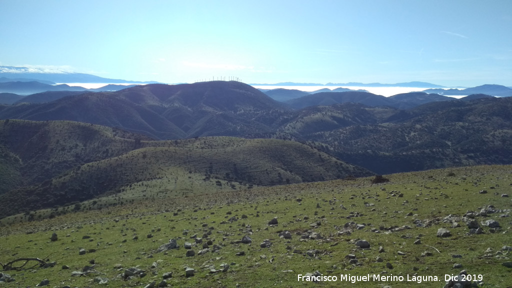 Niebla - Niebla. Mar de nubes. Desde el Cerro Los Morales - Valdepe�as de Ja�n