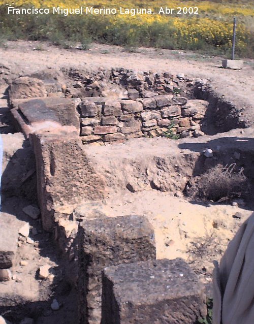 C�stulo. Tabernae - C�stulo. Tabernae. 