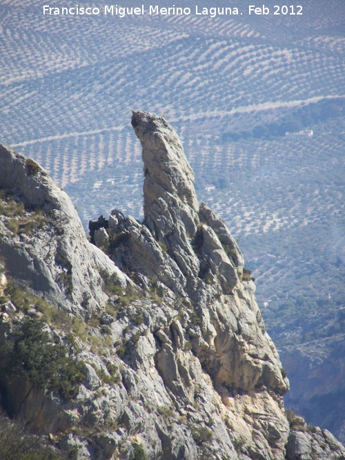 Cerro Salto de la Yegua - Cerro Salto de la Yegua. Pe��n de la vertiente Este