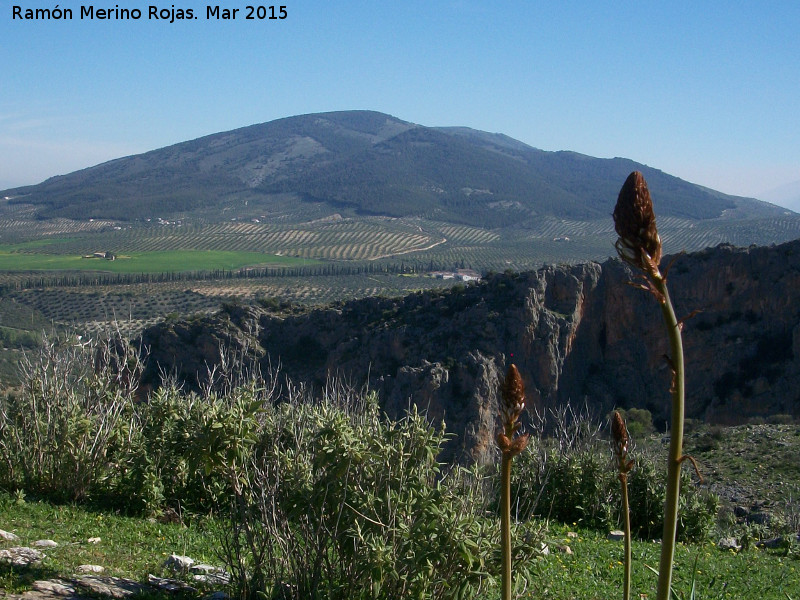 Cerro San Crist�bal - Cerro San Crist�bal. 