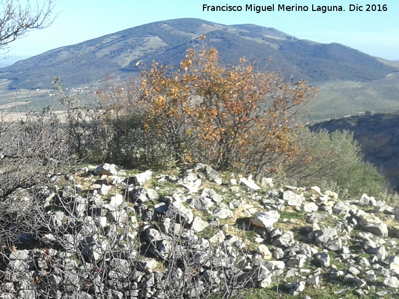 Cerro San Crist�bal - Cerro San Crist�bal. Desde el Cerro Veleta