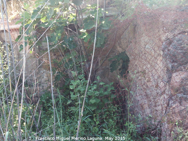 Villa romana del Cortijo del Ba�o - Villa romana del Cortijo del Ba�o. Restos de muros aleda�os