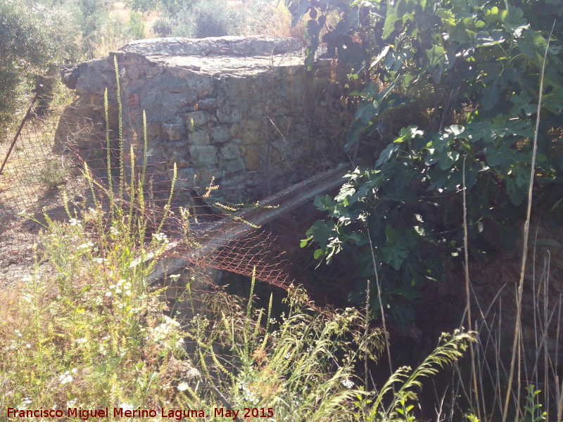 Villa romana del Cortijo del Ba�o - Villa romana del Cortijo del Ba�o. 
