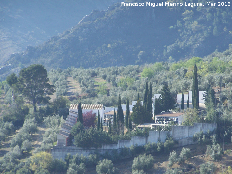 Cementerio de Albanchez de M�gina - Cementerio de Albanchez de M�gina. 