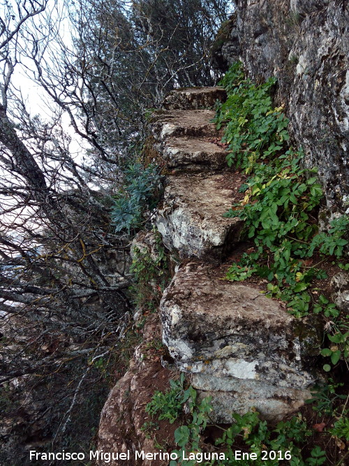 Cueva del Plato - Cueva del Plato. Camino prehist�rico escalonado a la Cueva del Plato