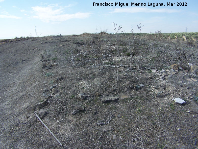 Oppidum Torrej�n Alto - Oppidum Torrej�n Alto. Restos de edificaci�n rectangular