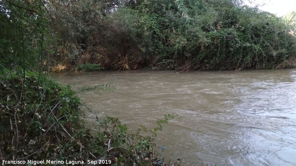 R�o Guadalquivir - R�o Guadalquivir. Villacarrillo