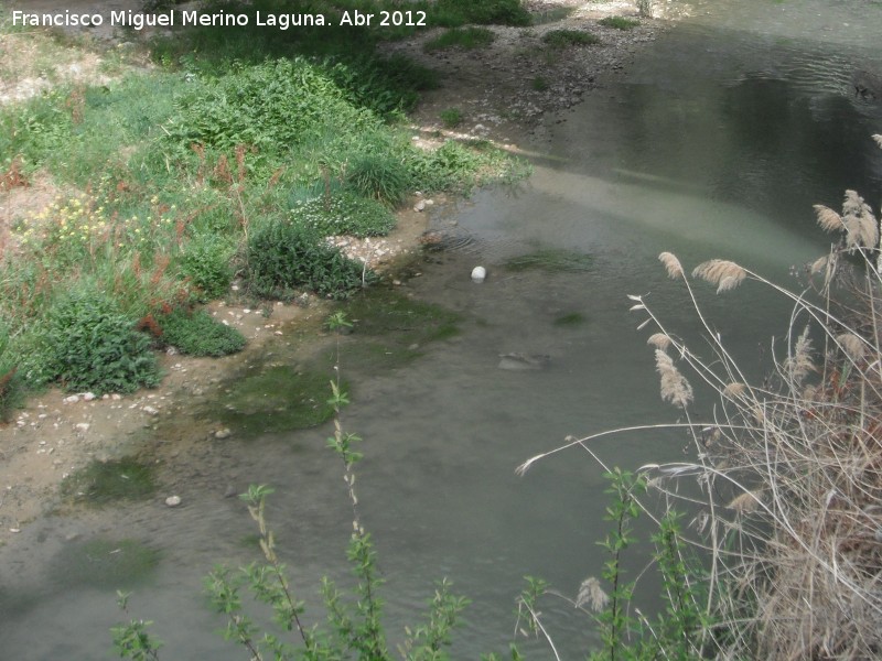 R�o Ja�n - R�o Ja�n. A su paso por el Puente Jontoya