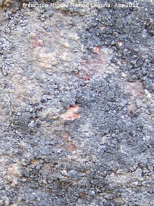 Pinturas rupestres del Abrigo de la Pe�a Grajera Grupo III - Pinturas rupestres del Abrigo de la Pe�a Grajera Grupo III. Restos de pinturas rupestres tapados por una capa de calcita