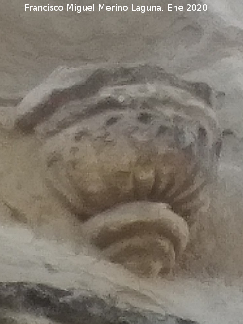 Capilla de Santa Ana - Capilla de Santa Ana. Peana de la hornacina