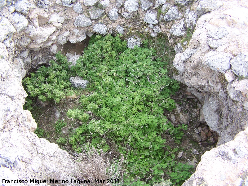 Torre�n del Cerro Algarrobo - Torre�n del Cerro Algarrobo. Interior
