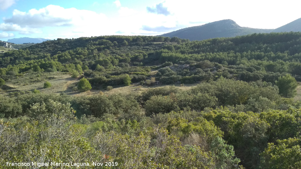 Cerro Miguelico - Cerro Miguelico. Llanos altos