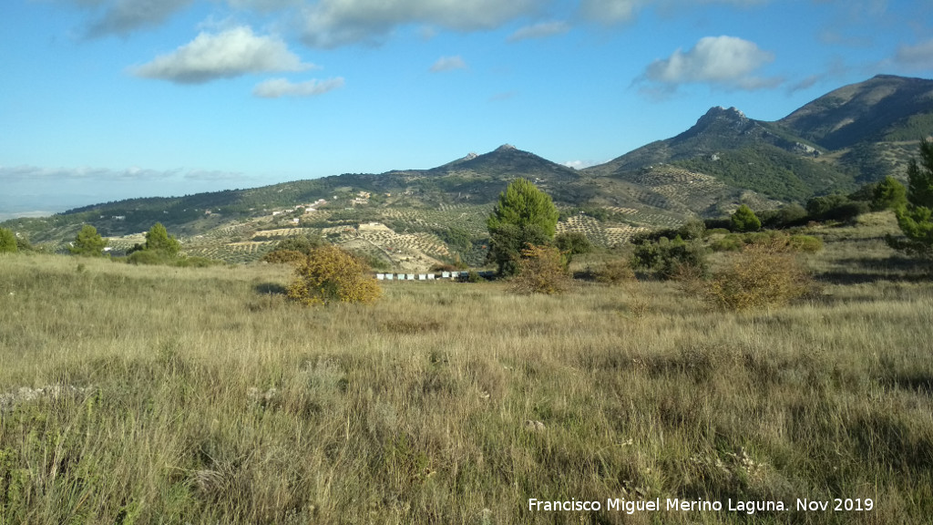 Cerro Miguelico - Cerro Miguelico. Llanos y colmenas