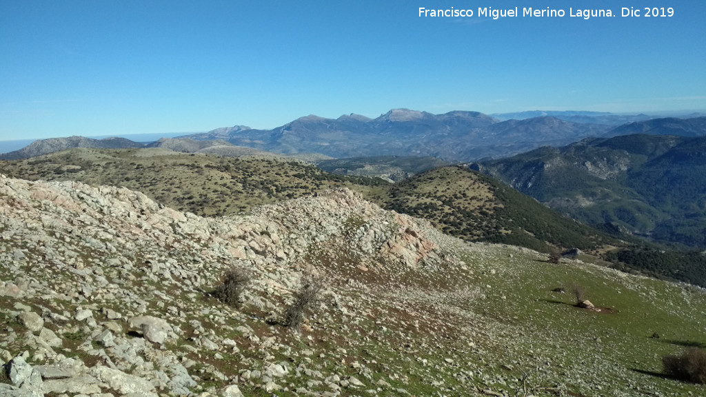 Cerro Los Morales - Cerro Los Morales. Vistas hacia Sierra Mgina