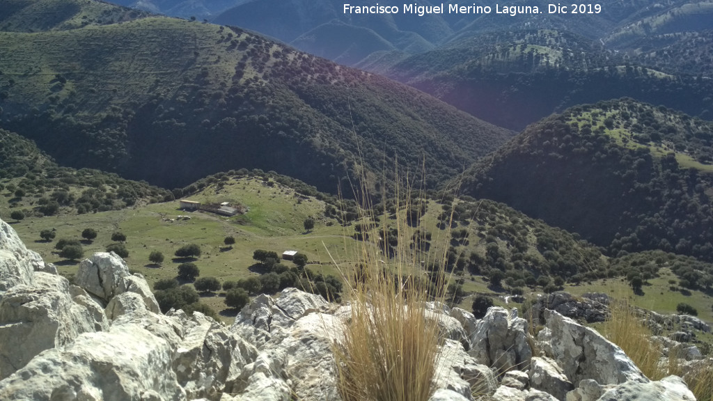 Lomas de Carboneros - Lomas de Carboneros. Vistas hacia el Cortijo del Polvero